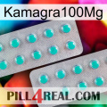 Kamagra100Mg 29